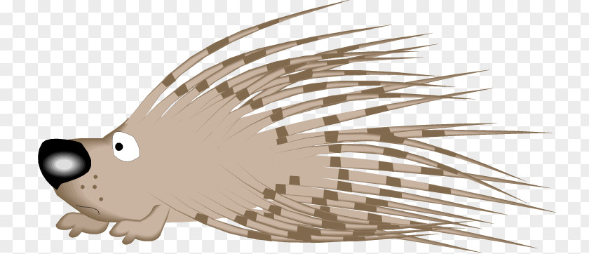 Porcupine Cliparts Hedgehog Clip Art PNG