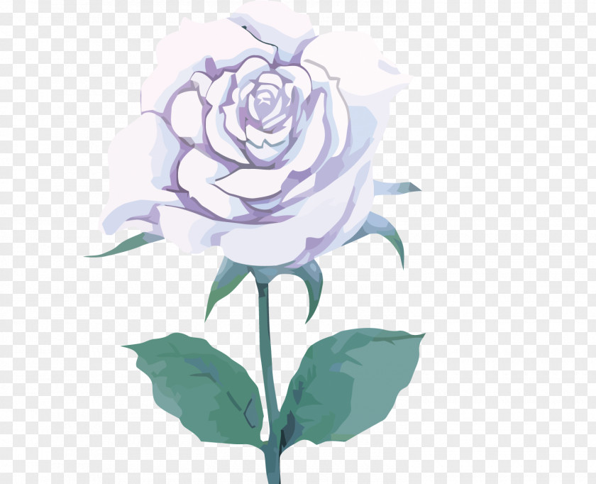 Vector White Rose Euclidean Icon PNG