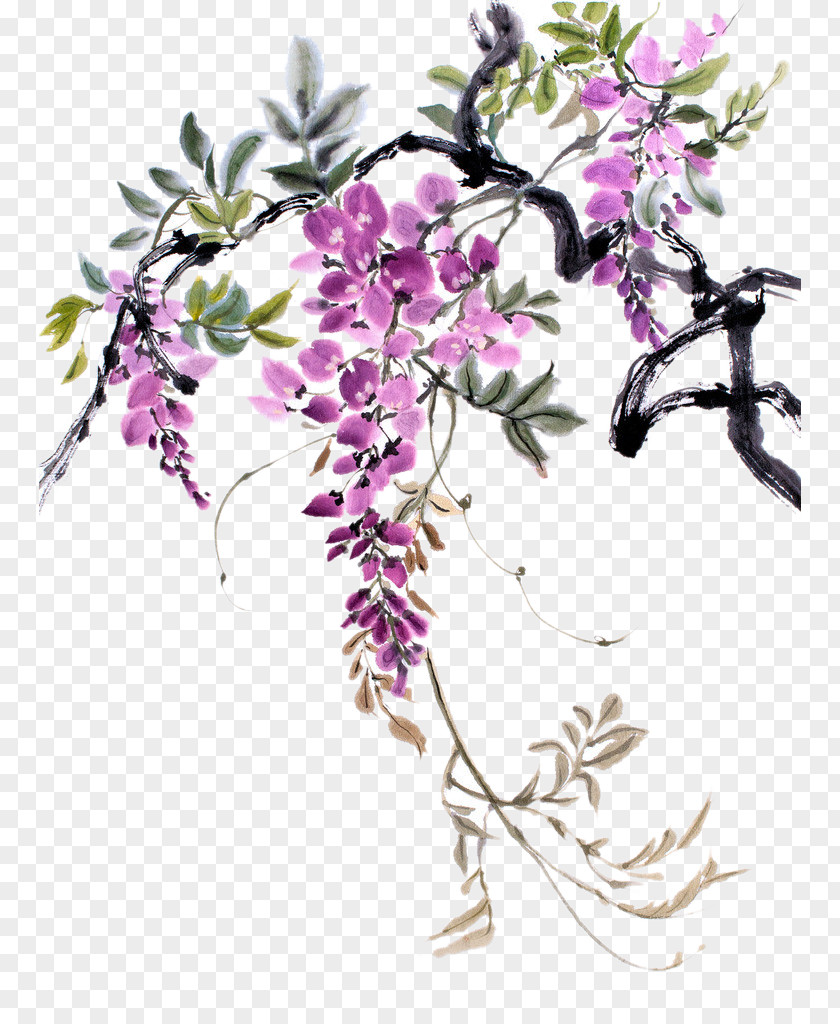 Watercolor Painting Drawing Chinese Wisteria PNG