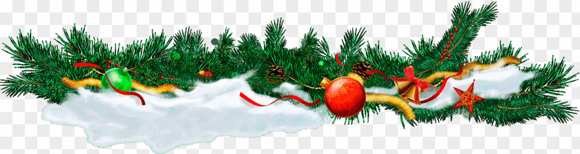 Christmas Old New Year Holiday Ded Moroz PNG