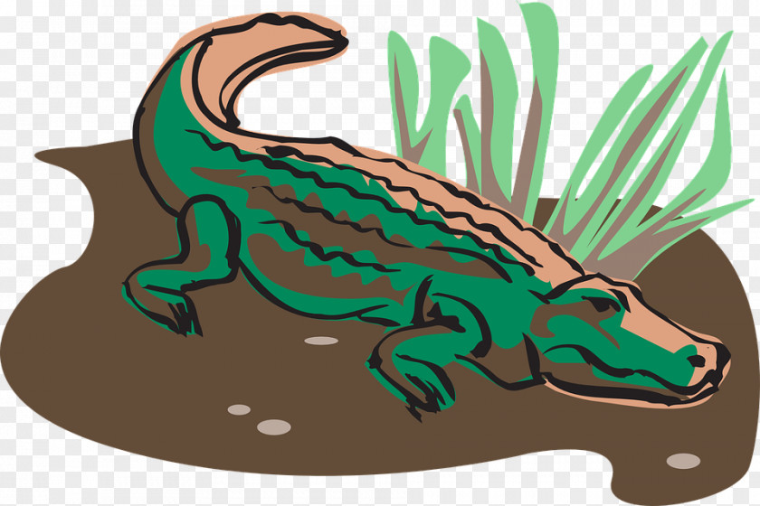 Crocodile Alligator Animation Clip Art PNG