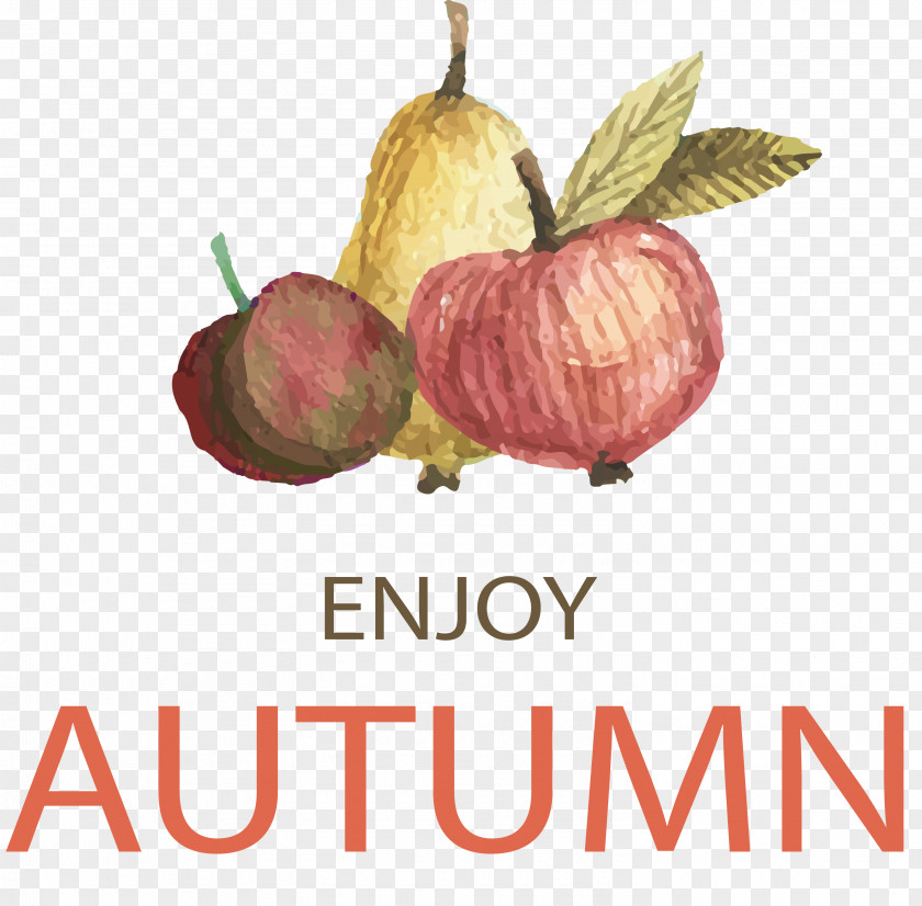 Enjoy The Fruits Of Autumn Hatchway CAD Academy Logo Business Partnership Company PNG