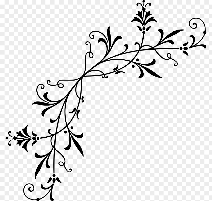 Filligree Drawing Floral Design Clip Art PNG