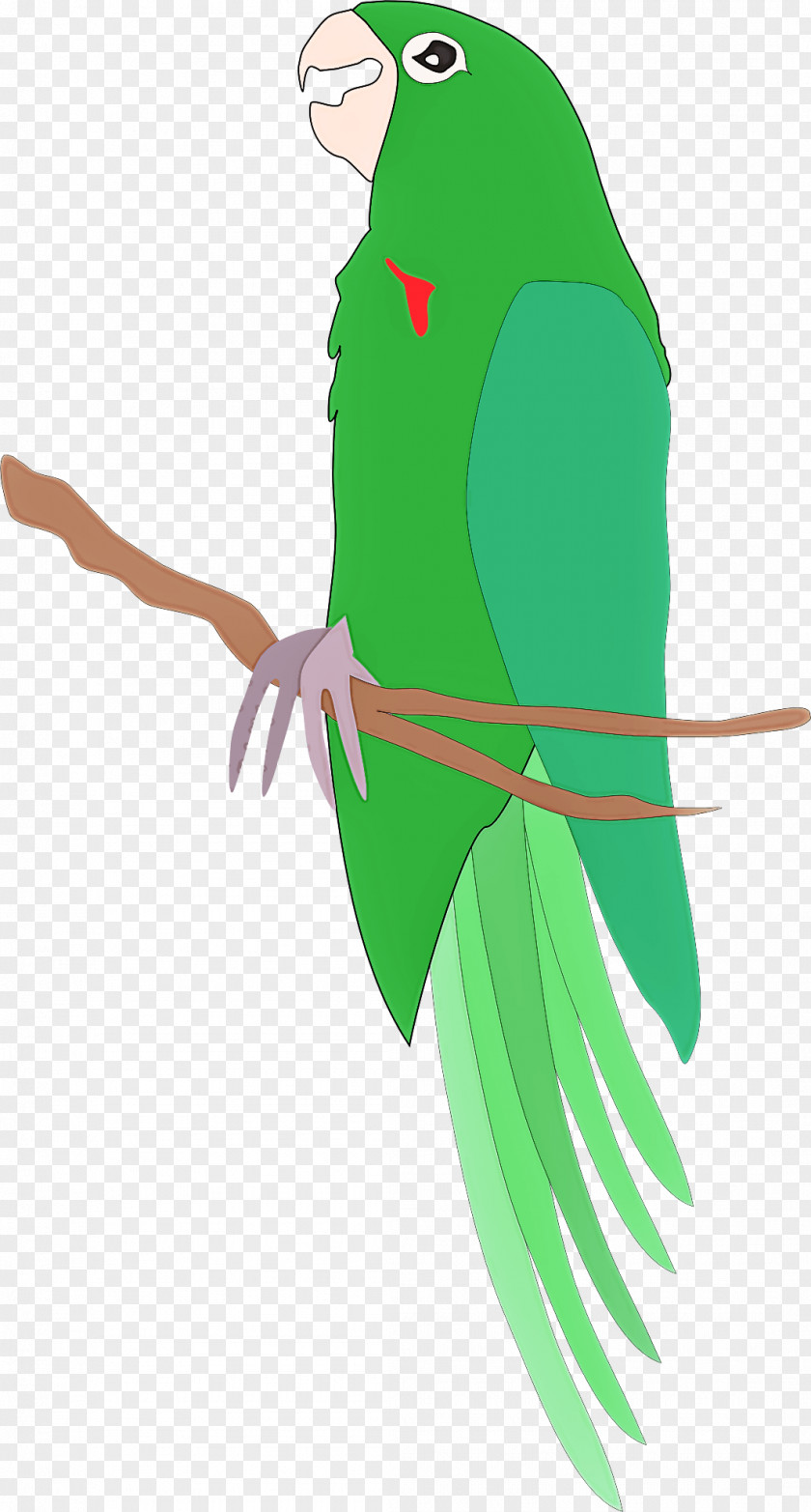 Green Parrot Parakeet Leaf Bird PNG