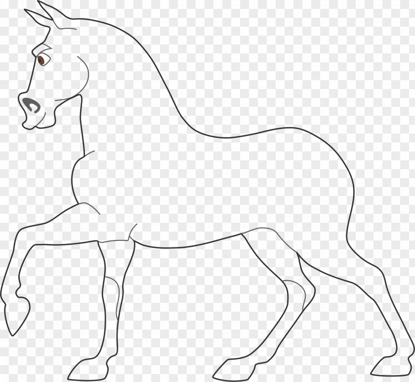 Mustang Foal Pony Drawing Clip Art PNG