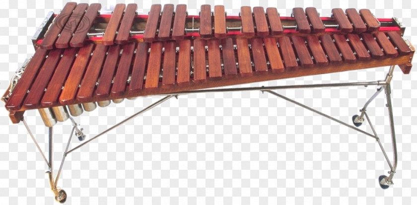 Xylophone Pitched Percussion Instrument Musical Instruments Marimba PNG