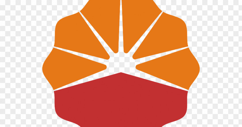 Business PetroChina China National Petroleum Corporation Logo PNG