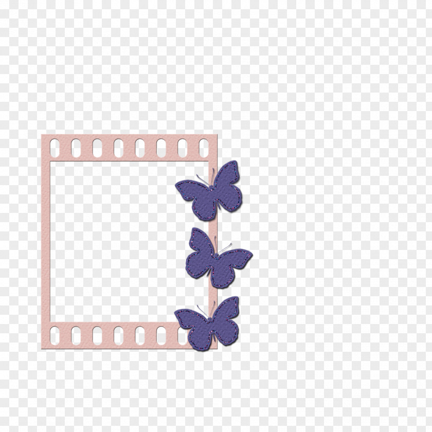 Film Frame Lilac Violet Pollinator Purple Petal PNG