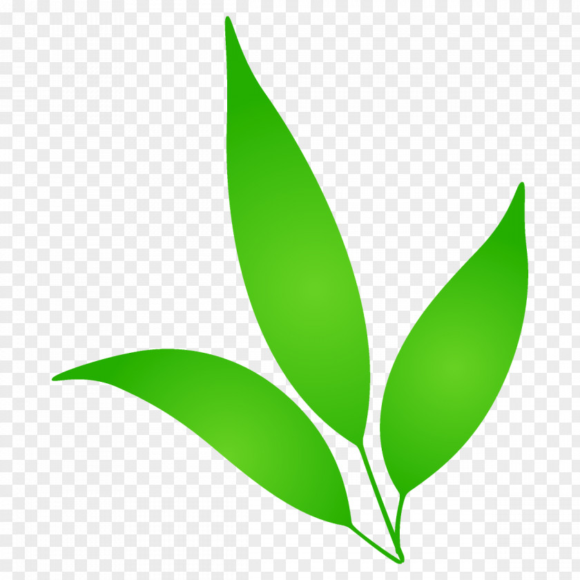 Flower Logo Leaf Green Plant PNG