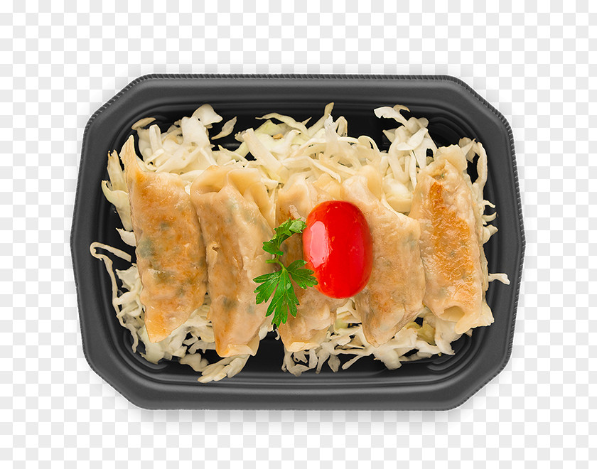 Gyoza Bento Tempura Recipe Side Dish Lunch PNG