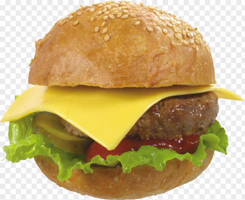 Junk Food Cheeseburger Buffalo Burger Hamburger Fast Veggie PNG