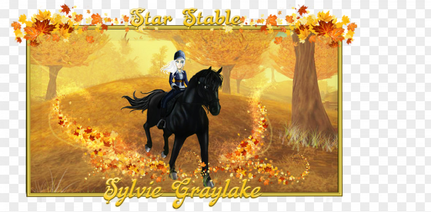 Mustang Star Stable Stallion 0 Desktop Wallpaper PNG