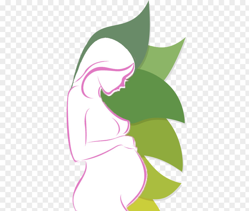 Obstetrics And Gynaecology Clip Art PNG