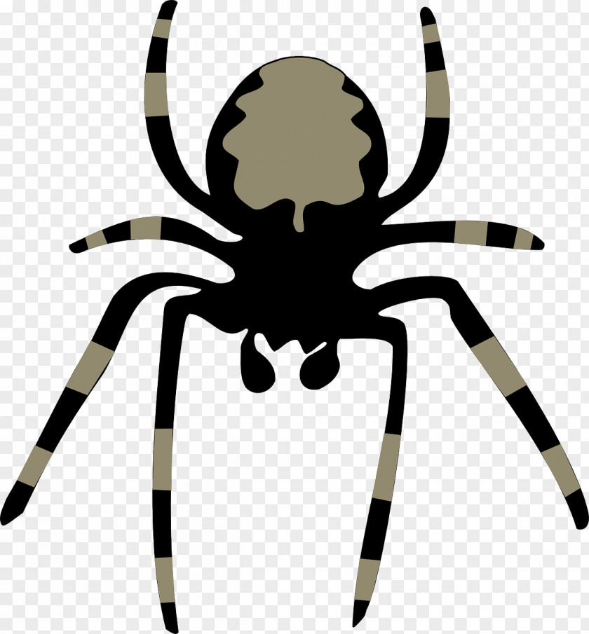 Spider Download Clip Art PNG