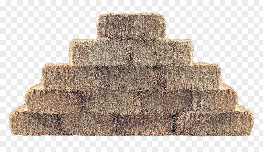 Wall Brick Grass Beige Rock PNG