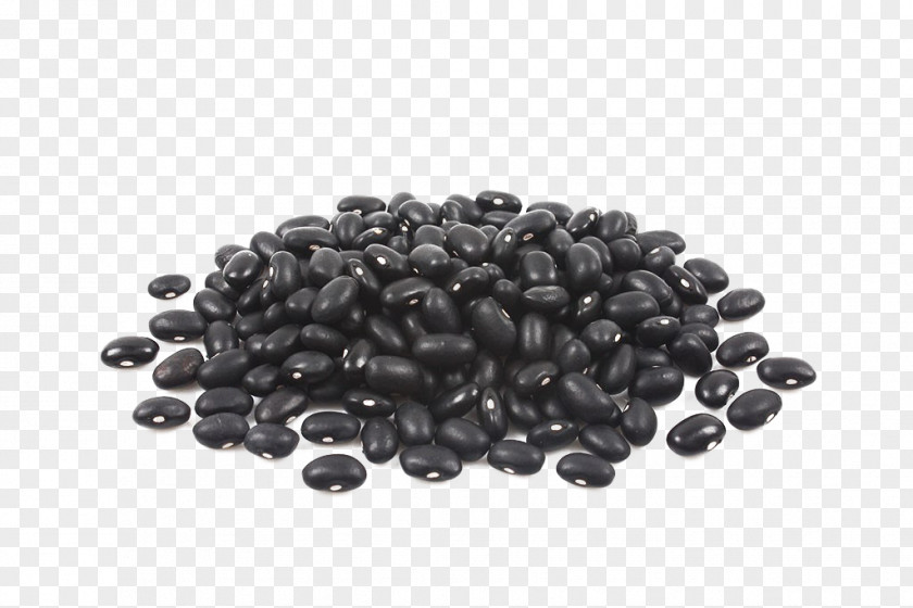 Black Beans Turtle Bean Food Soybean PNG