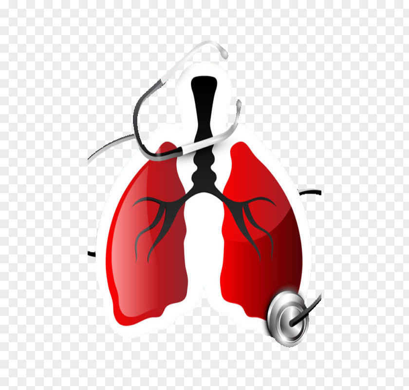 Chronic Obstructive Pulmonary Disease Lung Clip Art PNG