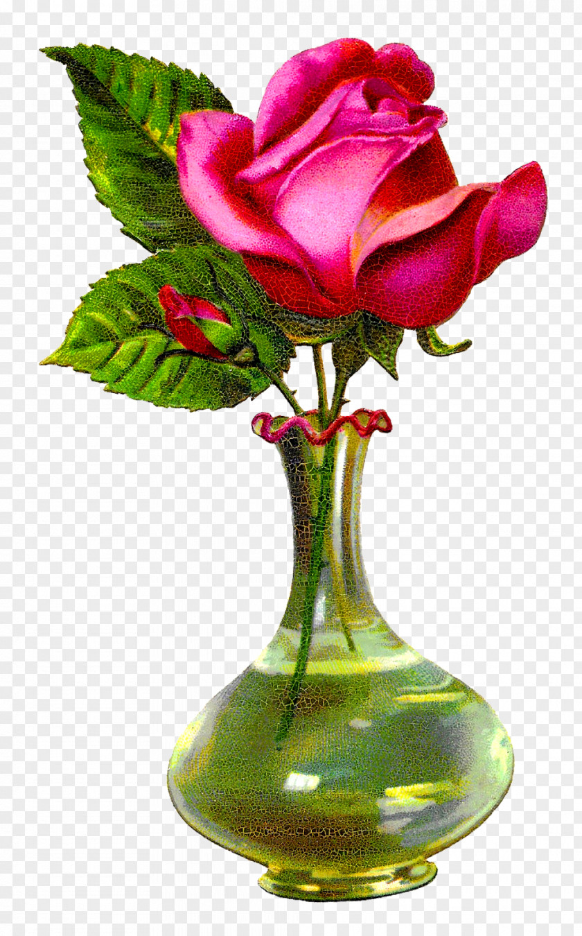 Flower Vase Garden Roses Floral Design Glass PNG