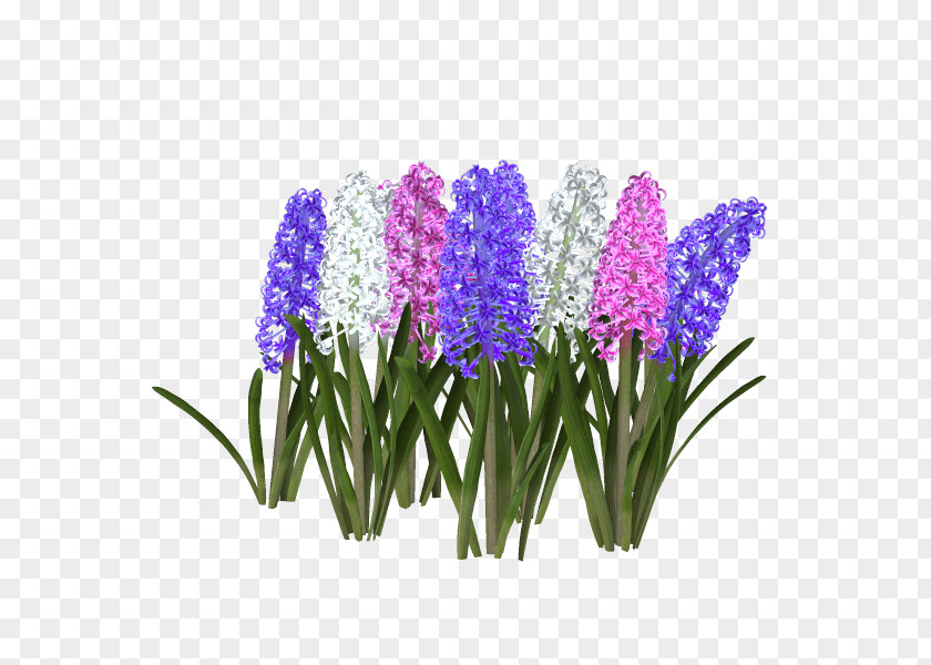 Hyacinth Violet Flower Diary Clip Art PNG