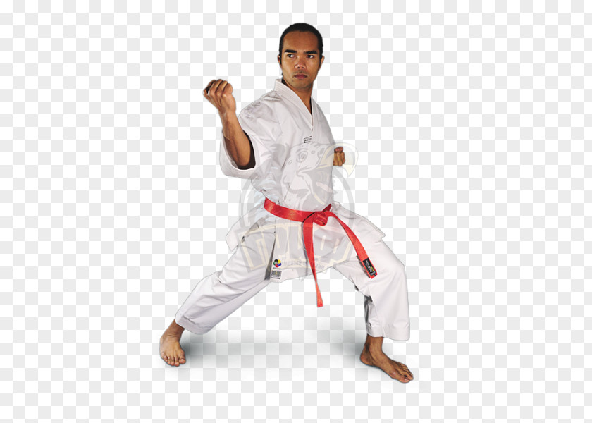 Karate Gi World Federation Martial Arts Kata PNG