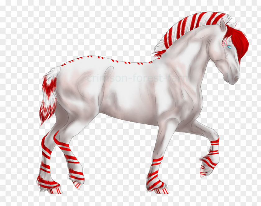 Mustang Stallion Breed Advent Calendars Barn PNG