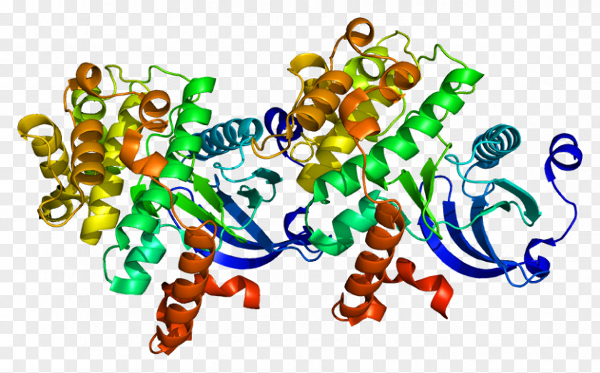 TAOK2 Protein Kinase Gene PNG