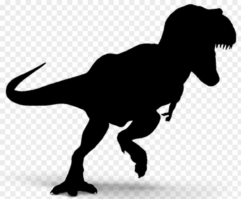 Tyrannosaurus Dinosaur Vector Graphics Spinosaurus Image PNG