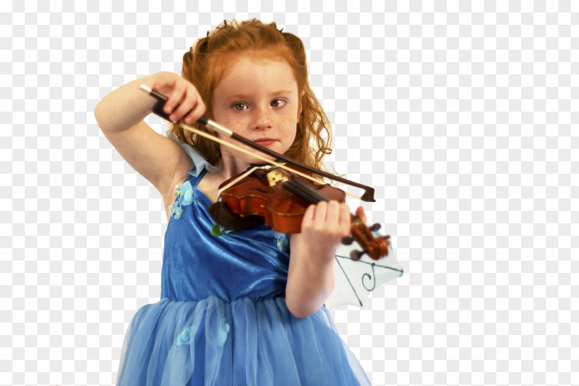 Violin String Instruments Musical Bowed Instrument PNG