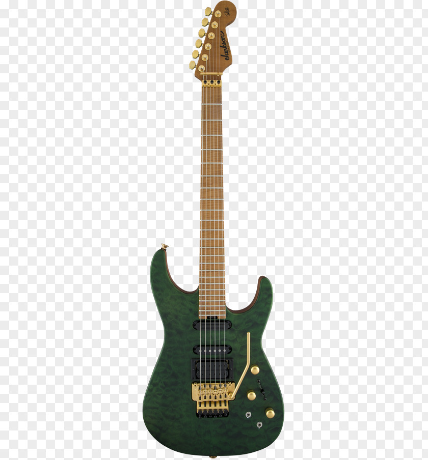 Def Leppard Drummer Fender Standard Stratocaster HSS Electric Guitar American Professional Musical Instruments Corporation PNG