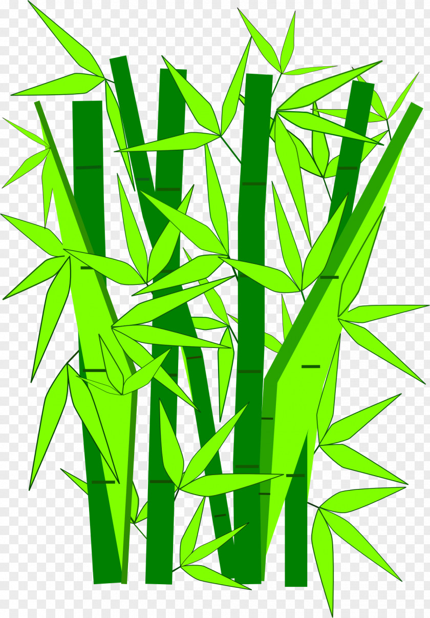 Green Bamboo Giant Panda Clip Art PNG