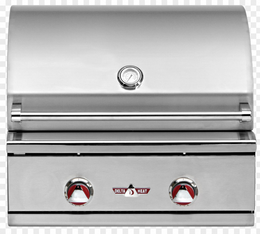 Outdoor Grill Barbecue Grilling Propane Rotisserie Cooking PNG