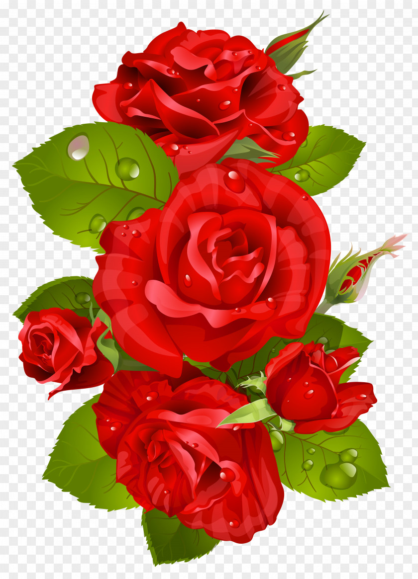 Red Rose Decoration Transparent Clip Art Image Flower PNG