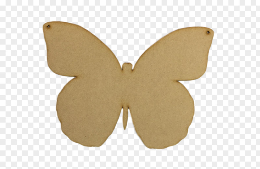Butterfly Bulletin Board Shape Moth Cork PNG