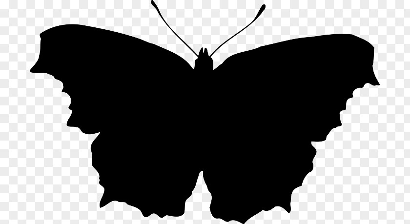 Butterfly Silhouette Clip Art PNG