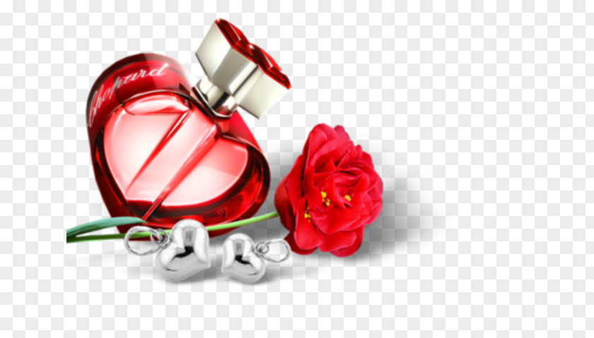 Chanel Parfumerie Perfume Cosmetics PNG