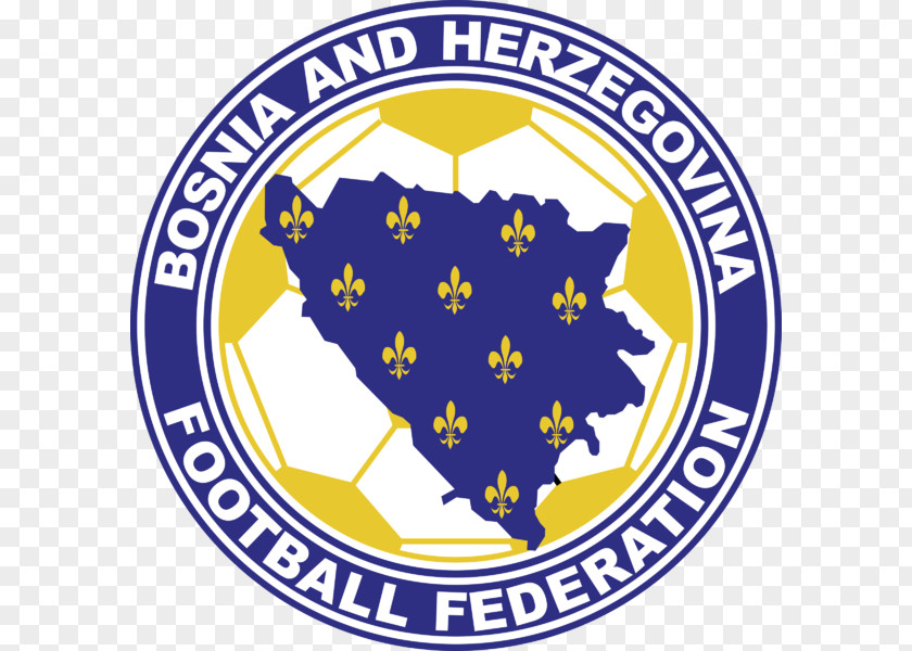 International Council Of Nurses Bosnia And Herzegovina National Football Team Logo PNG