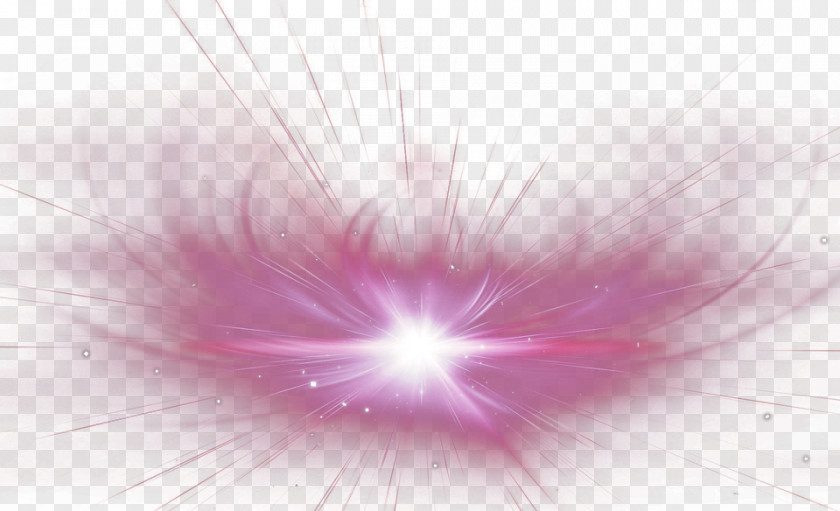 Purple Fresh Lines Light Effect Elements Petal Close-up Sky Computer Wallpaper PNG