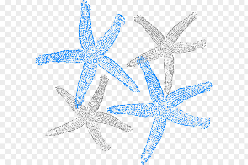 Starfish Drawing Clip Art PNG