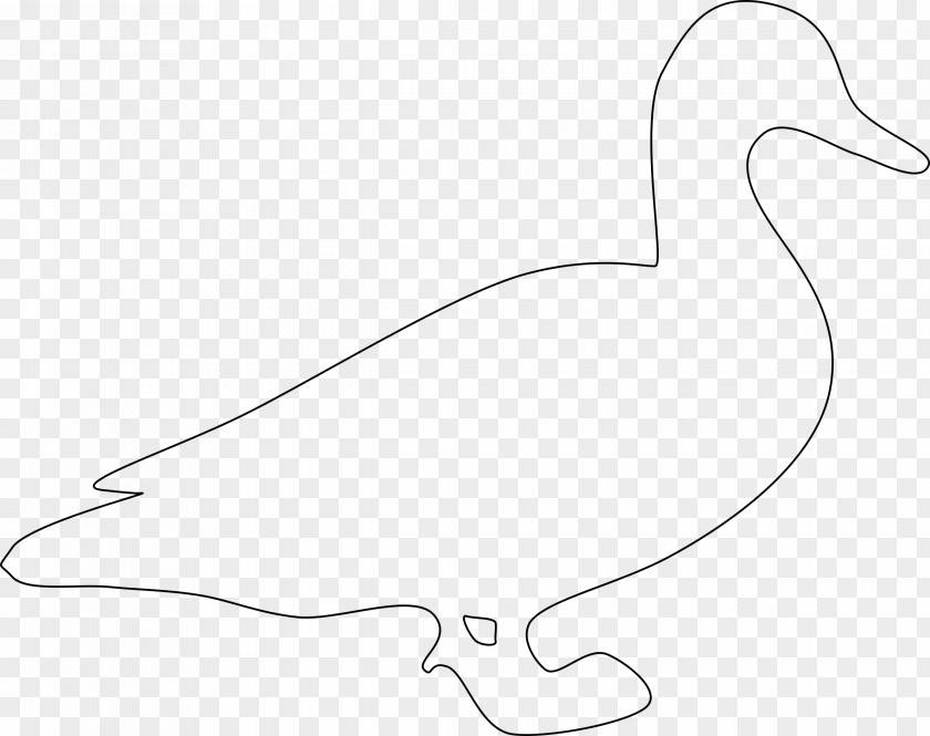 Duck Goose Feather Line Art Clip PNG
