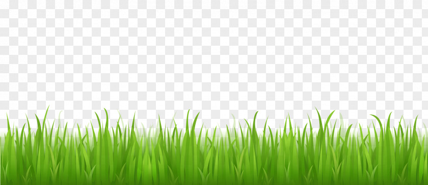 Grass Lawn Desktop Wallpaper Clip Art PNG