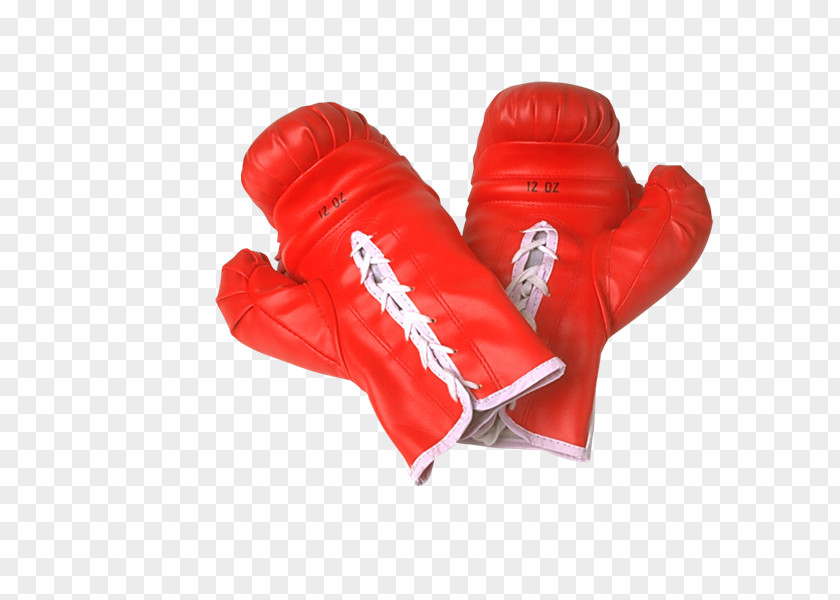 Iu No Alternatives Boxing Glove Rebecca L. Chavez PNG