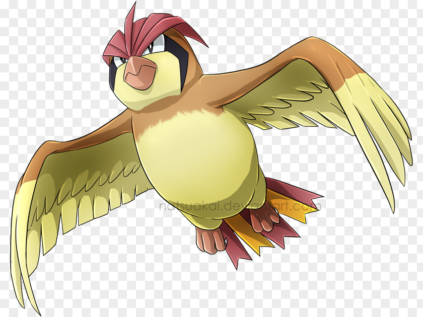 Pidgey Pokémon Omega Ruby And Alpha Sapphire X Y Pidgeotto FireRed LeafGreen PNG