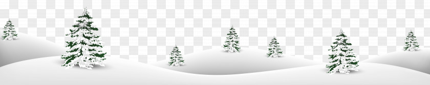 Winter Ground Transparent Clip Art Image I-Tree Trunk Woody Plant Branch PNG