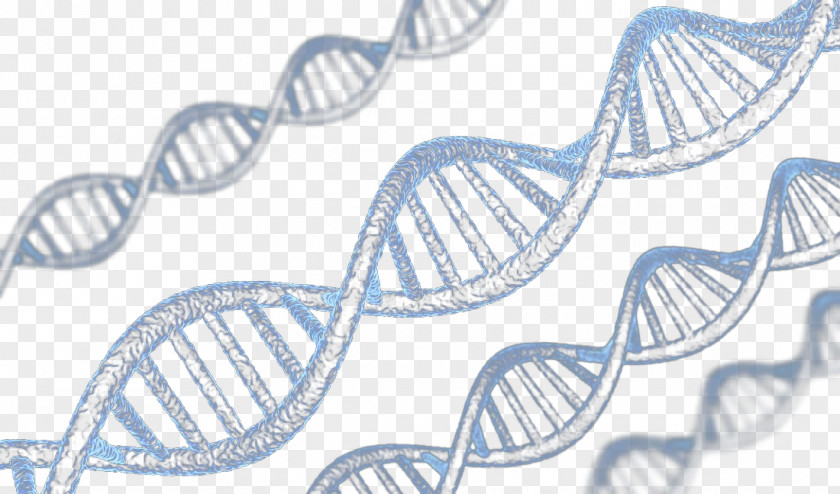 DNA Helix Technology Background Nucleic Acid Double Molecule PNG