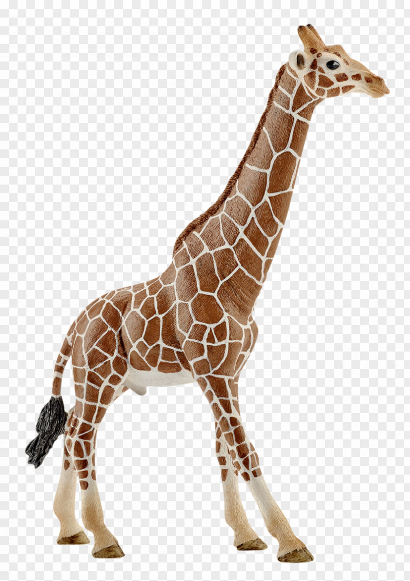 Giraffe Schleich Gr Toy Animal Figurine PNG