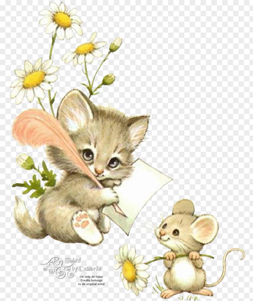Kitten Ragdoll Persian Cat Asian Semi-longhair Mouse PNG