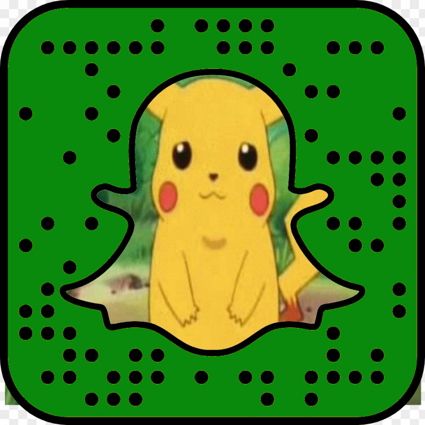 Pokemon Go Snapchat Social Media Female Millennials Photography PNG
