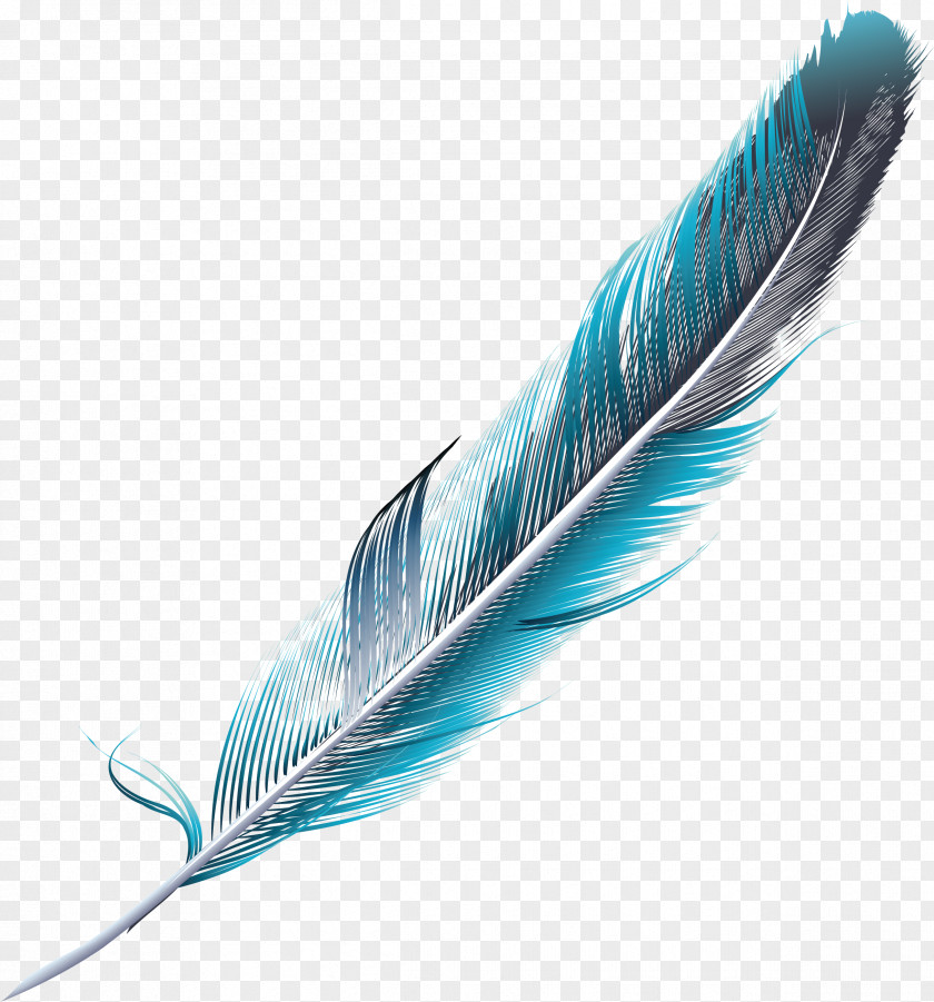 Slender Blue-green Feathers Feather Green Blue PNG