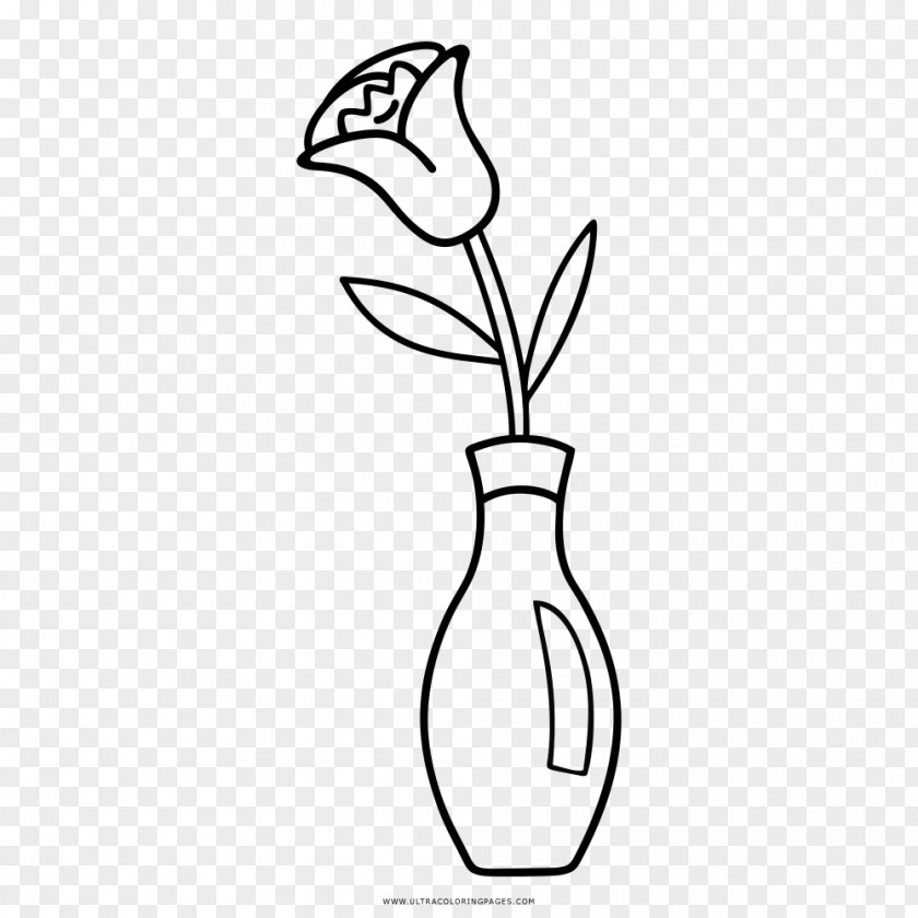 Vase Drawing Coloring Book Painting PNG