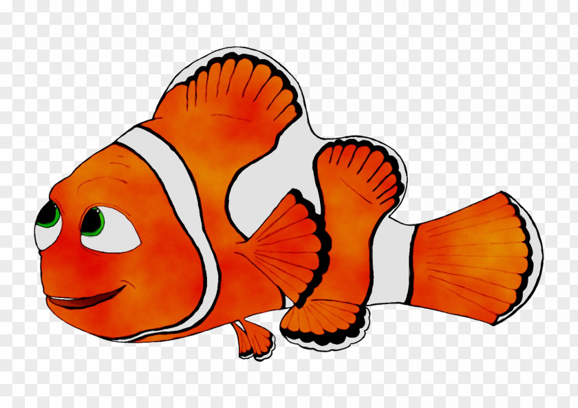 Clip Art Cartoon Fish Orange S.A. PNG